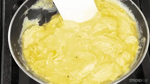 ביצים
