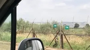 גבול ירדן