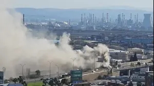 שריפה בדרך גזאל המחברת את כביש 22 לחוף שמן, חיפה, 15 בדצמבר 2024