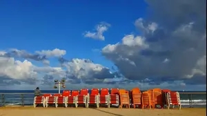 חוף הצוק