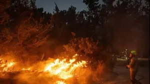 שריפה בפארק קנדה באיזור ירושלים, 30 באפריל 2025