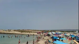 מבלים בשרב בחוף דור הבונים