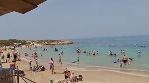 מבלים בשרב בחוף דור הבונים