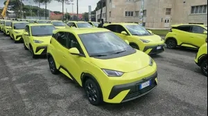 דולפין סרף