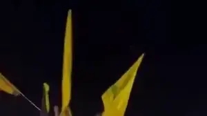 חגיגות ניצחון לרשימת חיזבאללה ו'אמל' בבחירות מקומיות בלבנון