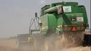 קציר שעורה בבארי