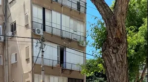 פיסת "גן עדן"