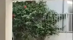 בולען נפער בבניין מגורים ברמת גן