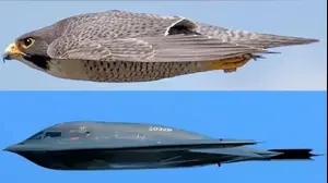 מטוס B-2 ובז