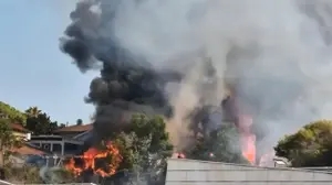 שריפת שטח פתוח פרצה לפני זמן קצר ברחוב סעדיה נחום בנס ציונה