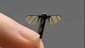 הרחפן הזעיר של הצבא הסיני