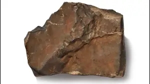 המטאוריט שמוצע למכירה פומבית