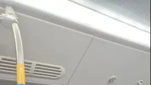 החשוד שהטריד את הנוסעת, יאיר מאיה
