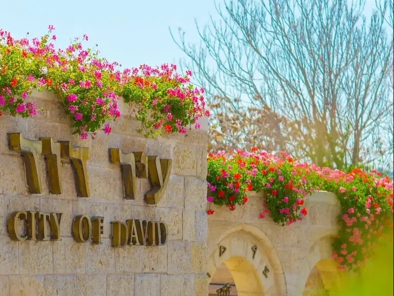בממשלה מתכננים ישיבה מיוחדת - בלב שכונת סילוואן