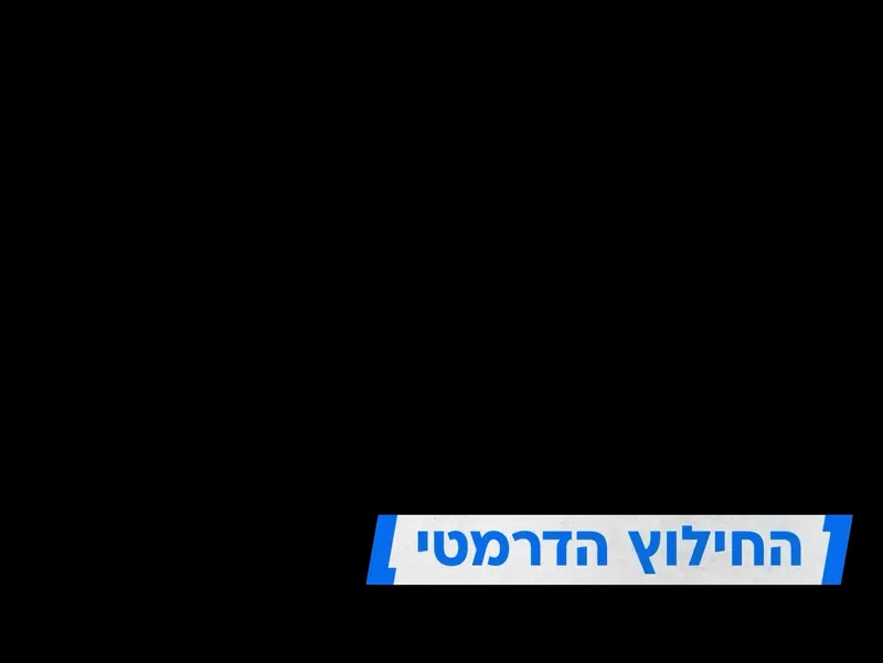 כותרת משנה