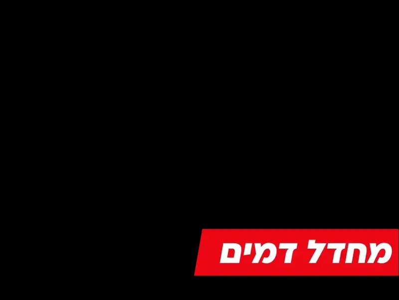 כותרת משנה