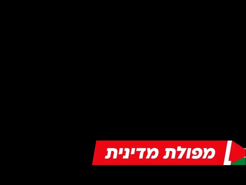 מפולת מדינית