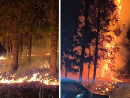 "הוקם צוות חקירה מיוחד": ההודעה אחרי ההשתלטות על האש