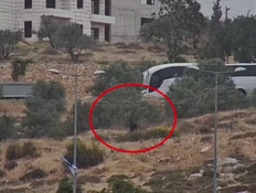 תיעוד חדש: מגיע לשטח - ומצית באש את העצים