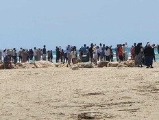 "אמרו לאנשים לצאת": הישראלים נהרו לחוף הכרישים