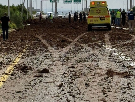 הפספוס של מערכת ההגנה: הכשלים בדרך לנפילה בנתב"ג