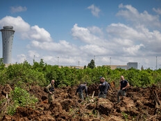 הפספוס של מערכת ההגנה: הכשלים בדרך לנפילה בנתב"ג