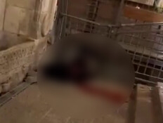 פצוע בפיגוע דקירה בעיר העתיקה בירושלים