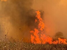 המקומות שבהם נשברו שיאי הטמפרטורות ומתי תגיע התקררות