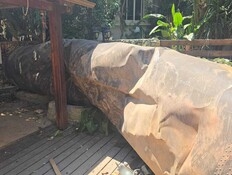 תיעוד: יצאה לגינה - ומצאה טיל איראני ענק