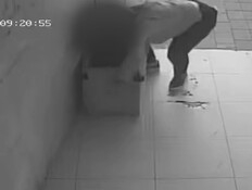 עלייה דרמטית בנטישת כלבים: "נותרים ללא מיגון, חסרי ישע"