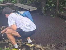 "מכת ארבה" ביעד הפופולרי: העיר החשובה התמלאה בחרקים