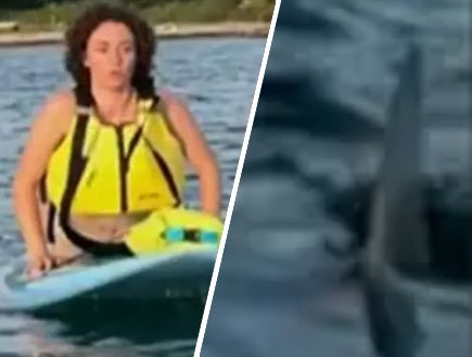 יצאה לשיט שגרתי - ונתקלה בטורף הכי מסוכן בים: "קפצתי"