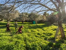 מוקשים באחד הפארקים המתוירים בישראל: "השערים נסגרו"